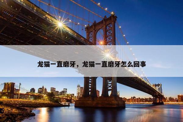 龙猫一直磨牙，龙猫一直磨牙怎么回事