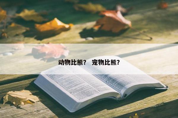动物比熊？ 宠物比熊？