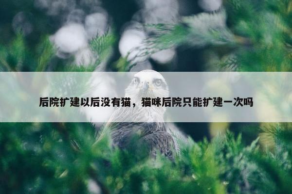 后院扩建以后没有猫,猫咪后院只能扩建一次吗
