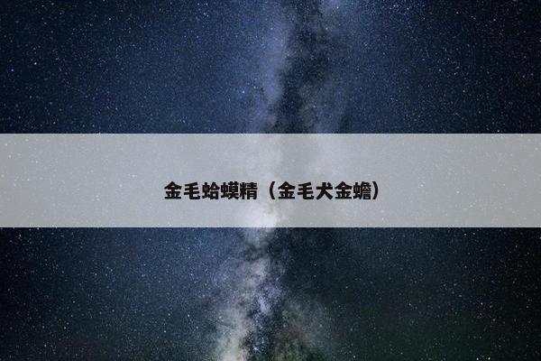 副本