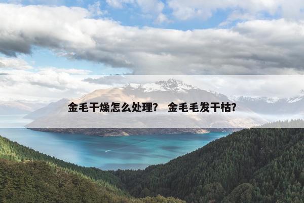 干燥
