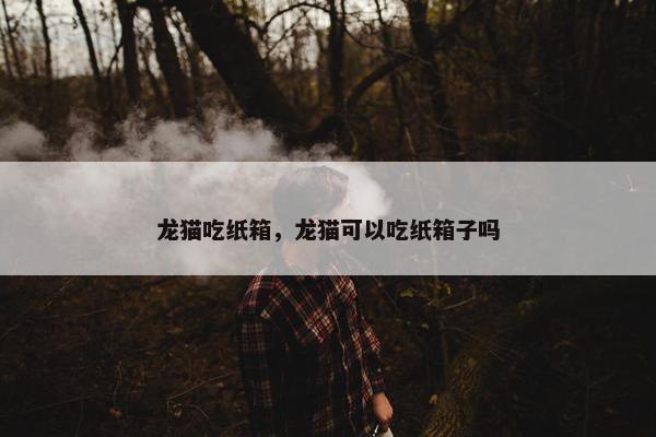 龙猫吃纸箱，龙猫可以吃纸箱子吗