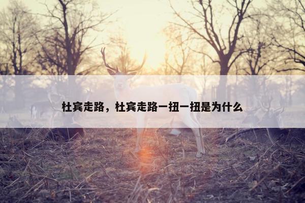 杜宾走路,杜宾走路一扭一扭是为什么