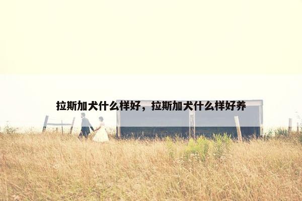 拉斯加犬什么样好，拉斯加犬什么样好养