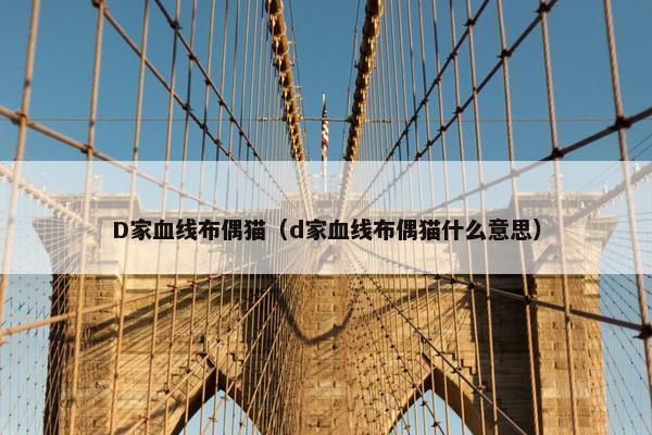 D家血线布偶猫（d家血线布偶猫什么意思）