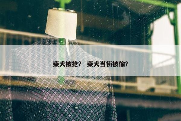 柴犬被抢？ 柴犬当街被偷？