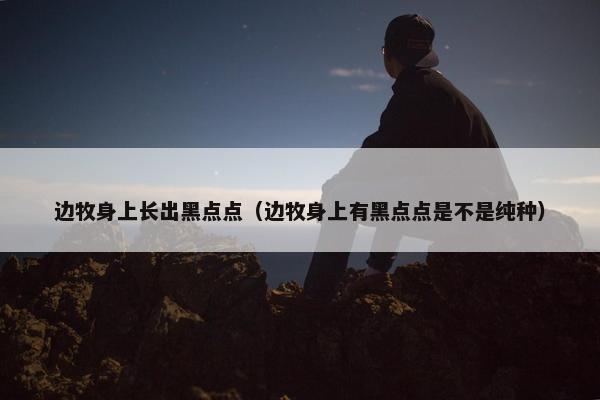 斑点