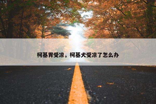 柯基胃受凉，柯基犬受凉了怎么办