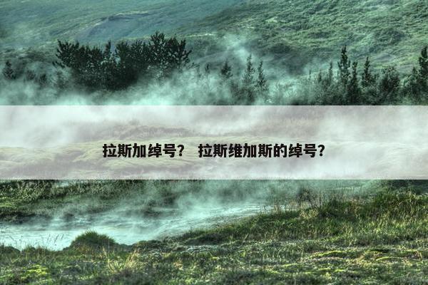 拉斯加绰号？ 拉斯维加斯的绰号？
