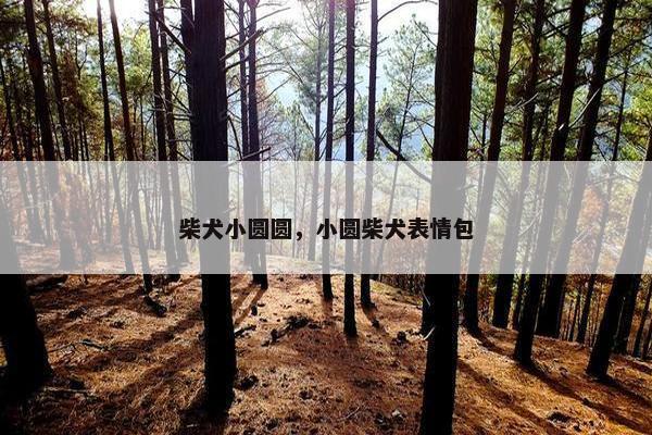 圆圆