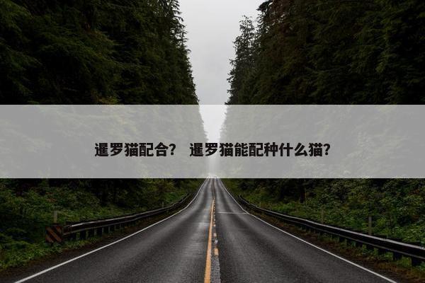 暹罗猫配合？ 暹罗猫能配种什么猫？