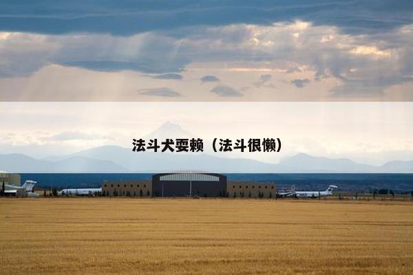 法斗犬耍赖（法斗很懒）