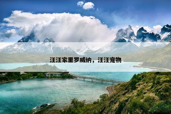 汪汪家里罗威纳，汪汪宠物