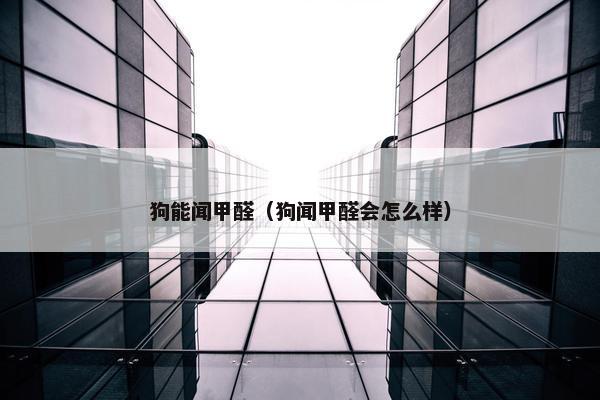 狗能闻甲醛（狗闻甲醛会怎么样）