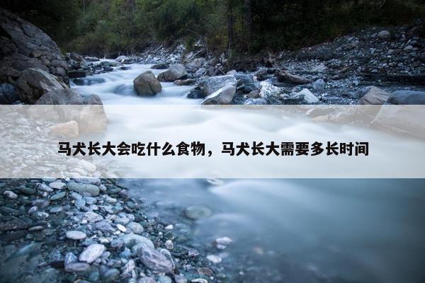 马犬长大会吃什么食物,马犬长大需要多长时间