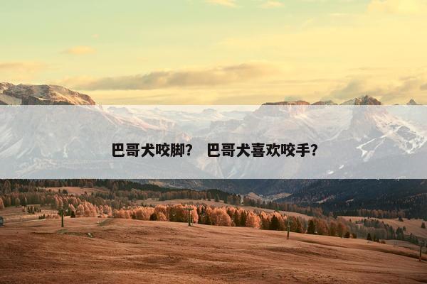 巴哥犬咬脚？ 巴哥犬喜欢咬手？