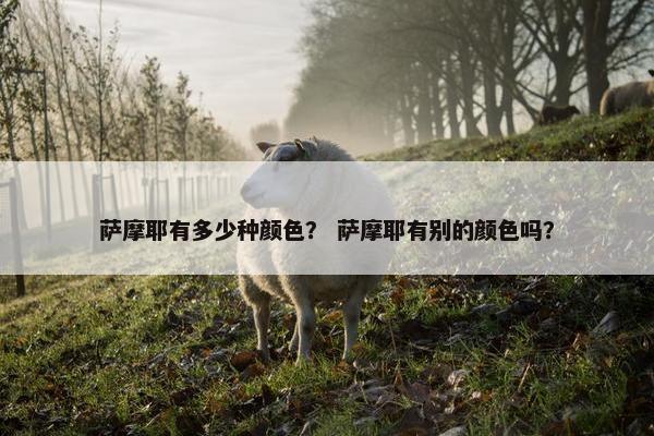 萨摩耶有多少种颜色？ 萨摩耶有别的颜色吗？