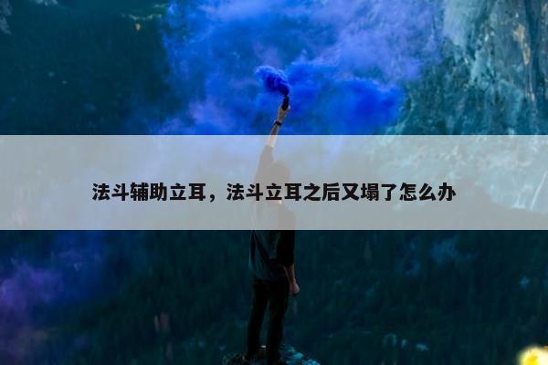 法斗辅助立耳，法斗立耳之后又塌了怎么办