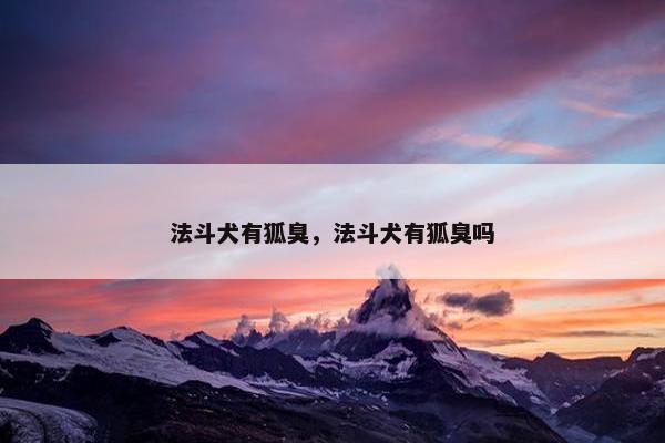 法斗 第4页