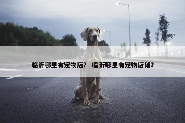 临沂市