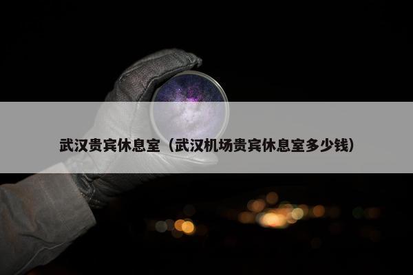 武汉贵宾休息室（武汉机场贵宾休息室多少钱）