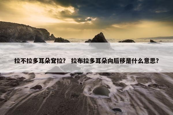 拉不拉多耳朵耷拉？ 拉布拉多耳朵向后移是什么意思？