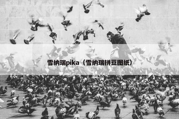 皮卡