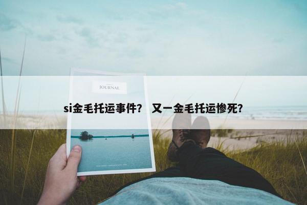 si金毛托运事件？ 又一金毛托运惨死？
