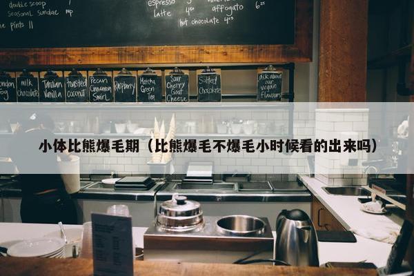 小体比熊爆毛期(比熊爆毛不爆毛小时候看的出来吗)