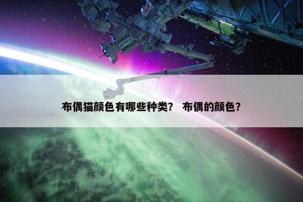 布偶猫颜色有哪些种类？ 布偶的颜色？