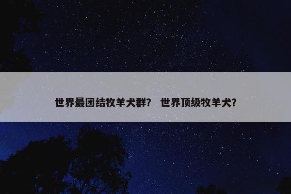 世界最团结牧羊犬群? 世界顶级牧羊犬?