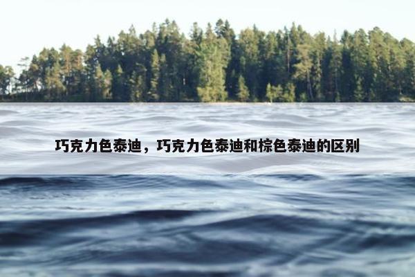 巧克力