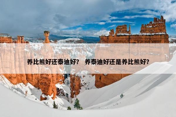 养比熊好还泰迪好？ 养泰迪好还是养比熊好？