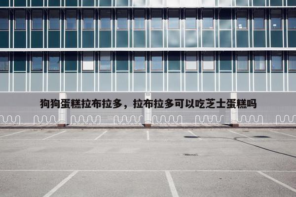 狗狗蛋糕拉布拉多，拉布拉多可以吃芝士蛋糕吗