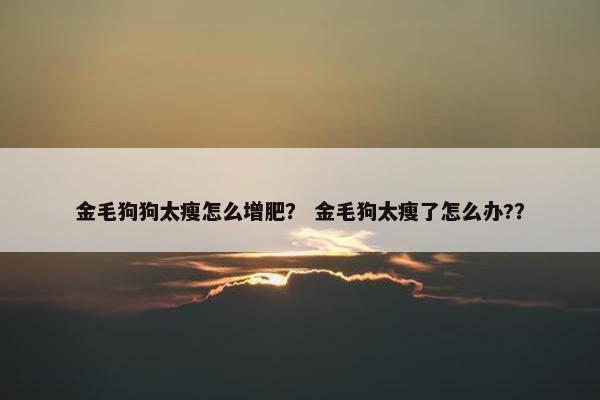 金毛狗狗太瘦怎么增肥？ 金毛狗太瘦了怎么办?？