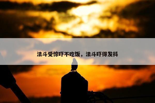 法斗受惊吓不吃饭，法斗吓得发抖