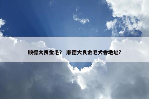 顺德大良金毛？ 顺德大良金毛犬舍地址？