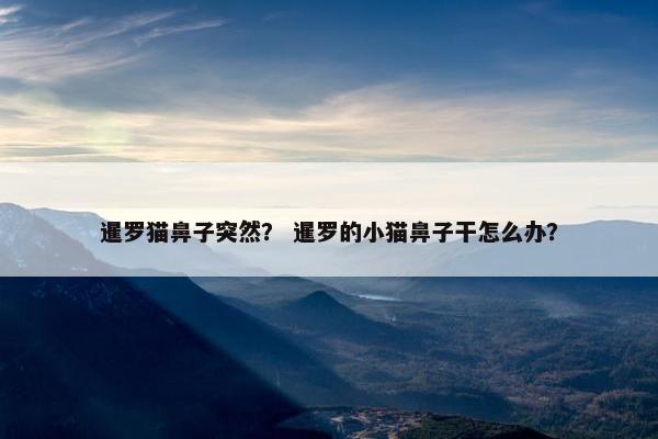 暹罗猫鼻子突然？ 暹罗的小猫鼻子干怎么办？