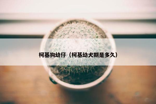 观察