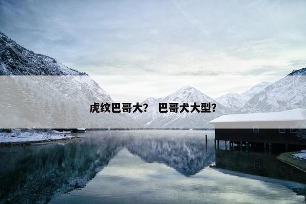 虎纹巴哥大？ 巴哥犬大型？