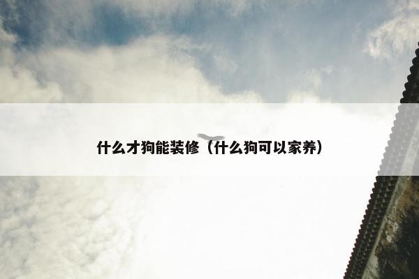 什么才狗能装修（什么狗可以家养）