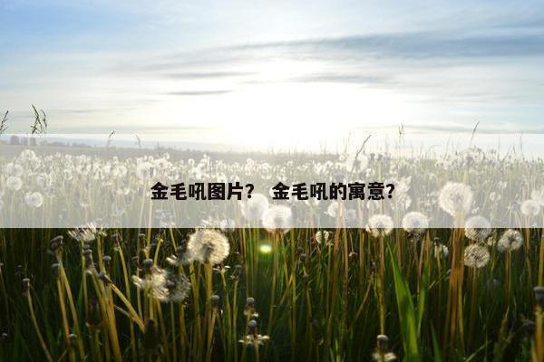 金毛吼图片？ 金毛吼的寓意？