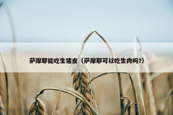 饲喂