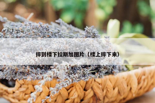 摔到楼下拉斯加图片（楼上摔下来）
