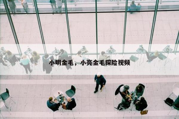 小明金毛，小亮金毛探险视频