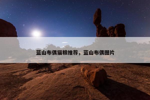 蓝山布偶猫粮推荐，蓝山布偶图片