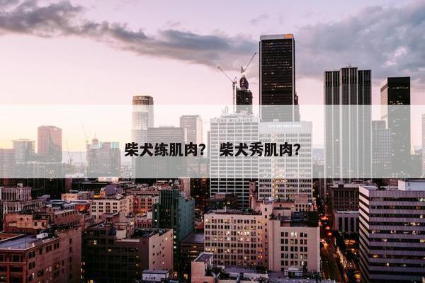 柴犬练肌肉? 柴犬秀肌肉?