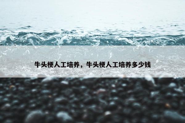 习惯