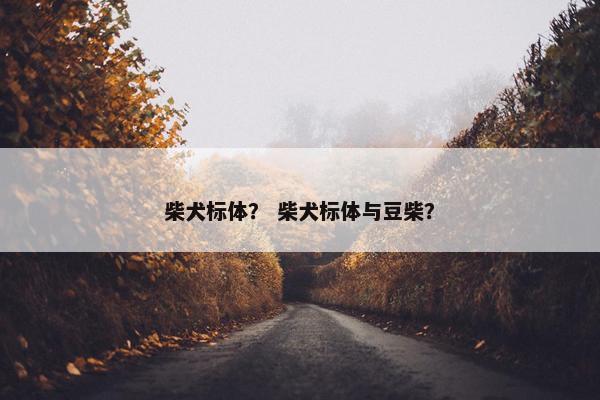 柴犬标体？ 柴犬标体与豆柴？