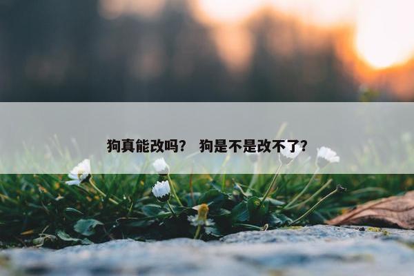 狗真能改吗？ 狗是不是改不了？